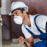 Protecting your home against pest invasion