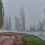 Why Winter Is Actually One of the Best Times to Sell in Griffith